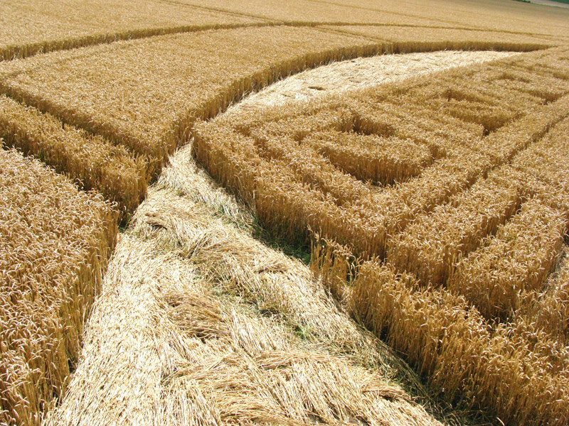 Hackpen Hill (3), Wiltshire crop circle, aerial photo 115