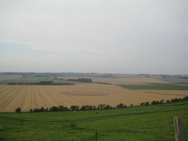 Hackpen Hill (3), Wiltshire crop circle, aerial photo 166
