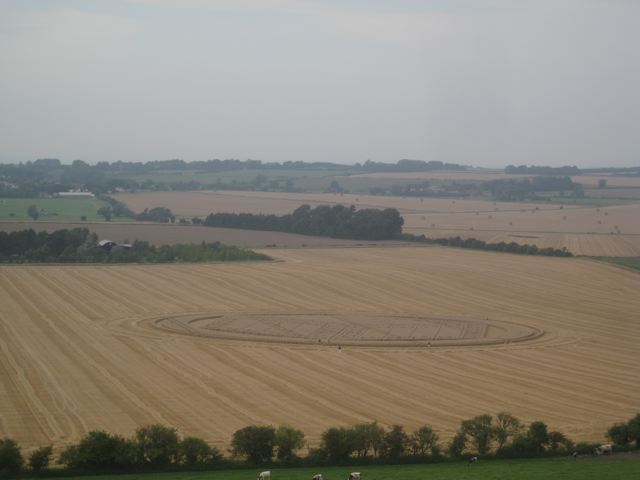 Hackpen Hill (3), Wiltshire crop circle, aerial photo 167