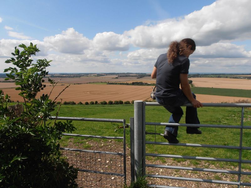 Hackpen Hill (3), Wiltshire crop circle, aerial photo 119