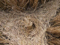 Hackpen Hill (3), Wiltshire crop circle, aerial photo 163