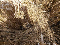 Hackpen Hill (3), Wiltshire crop circle, aerial photo 157