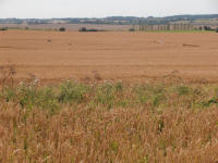 Hackpen Hill (3), Wiltshire crop circle, aerial photo 139