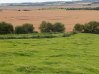 Hackpen Hill (3), Wiltshire crop circle, aerial photo 137