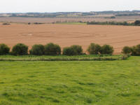 Hackpen Hill (3), Wiltshire crop circle, aerial photo 136