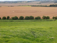 Hackpen Hill (3), Wiltshire crop circle, aerial photo 135