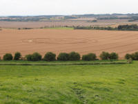 Hackpen Hill (3), Wiltshire crop circle, aerial photo 134