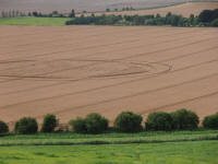 Hackpen Hill (3), Wiltshire crop circle, aerial photo 131