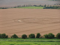 Hackpen Hill (3), Wiltshire crop circle, aerial photo 130