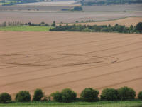Hackpen Hill (3), Wiltshire crop circle, aerial photo 129