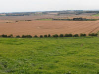 Hackpen Hill (3), Wiltshire crop circle, aerial photo 128