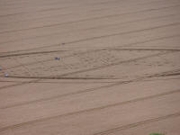 Hackpen Hill (3), Wiltshire crop circle, aerial photo 126