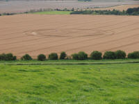 Hackpen Hill (3), Wiltshire crop circle, aerial photo 124