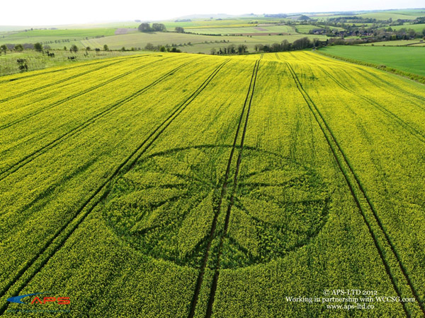 Hill Barn, Wiltshire crop circle, aerial photo 6