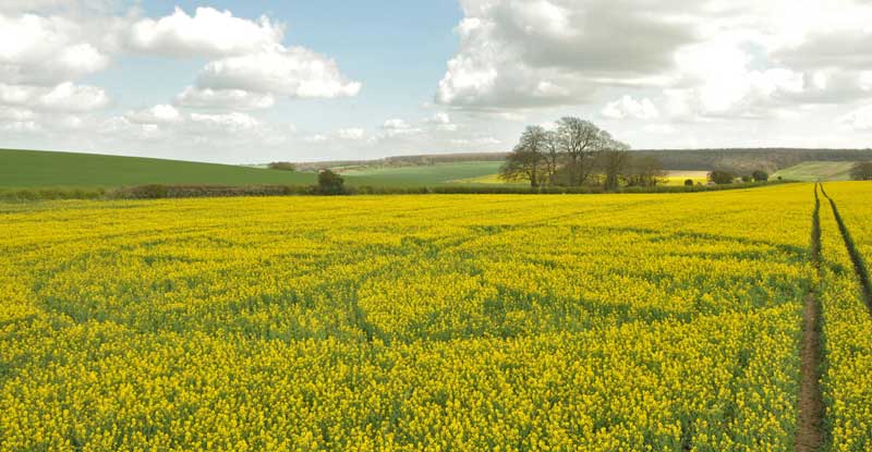 Hill Barn, Wiltshire crop circle, aerial photo 76