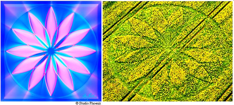 Hill Barn, Wiltshire crop circle, aerial photo 8