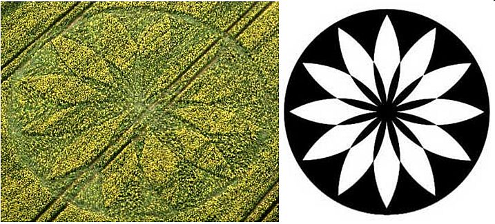 Hill Barn, Wiltshire crop circle, aerial photo 51