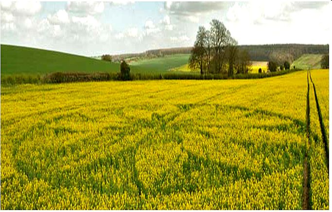 Hill Barn, Wiltshire crop circle, aerial photo 52