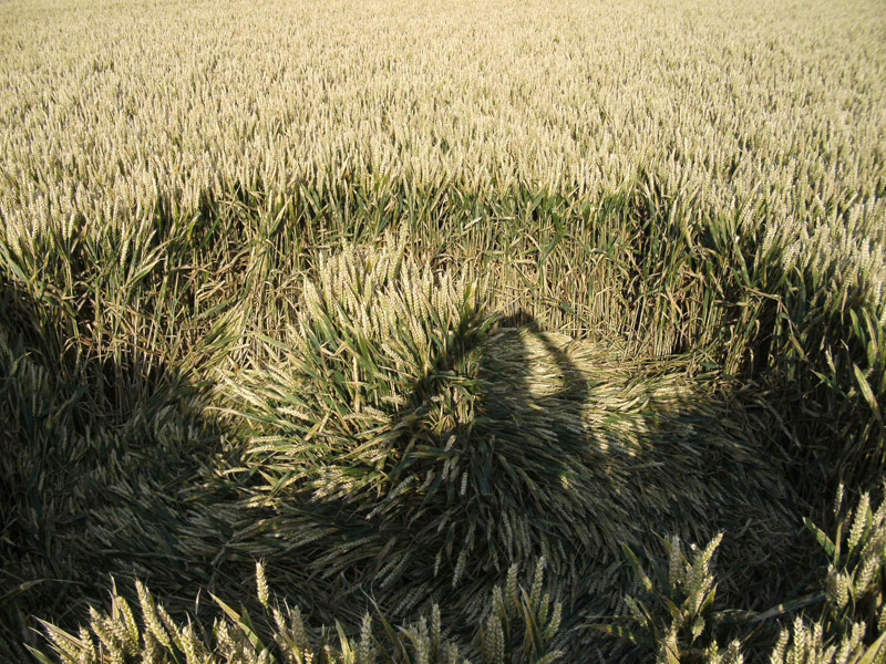 Hill Barn, Wiltshire crop circle, aerial photo 43