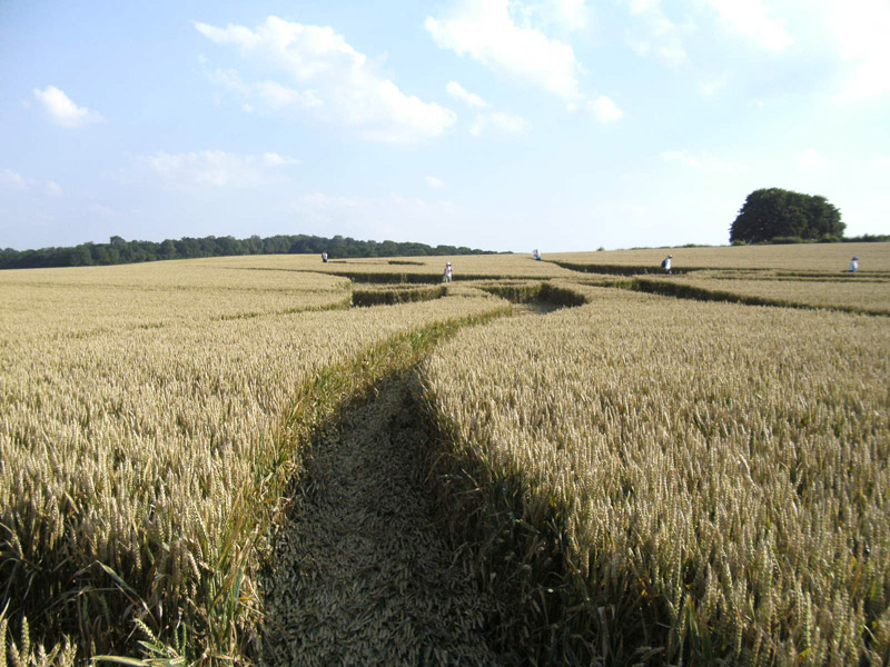 Hill Barn, Wiltshire crop circle, aerial photo 42
