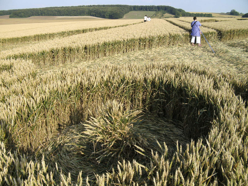 Hill Barn, Wiltshire crop circle, aerial photo 40