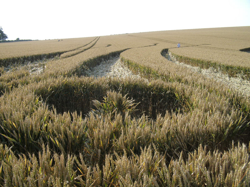 Hill Barn, Wiltshire crop circle, aerial photo 39