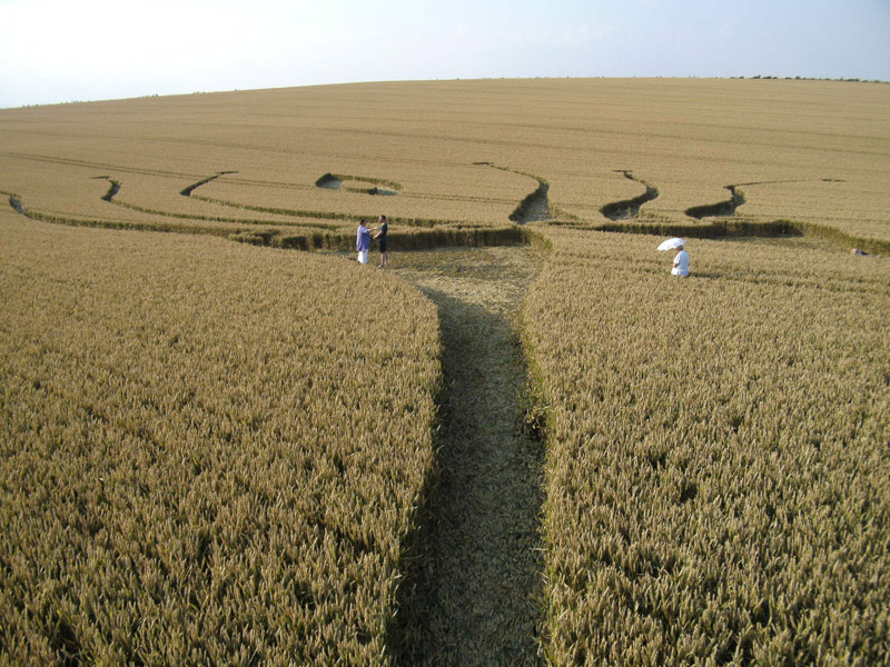 Hill Barn, Wiltshire crop circle, aerial photo 37