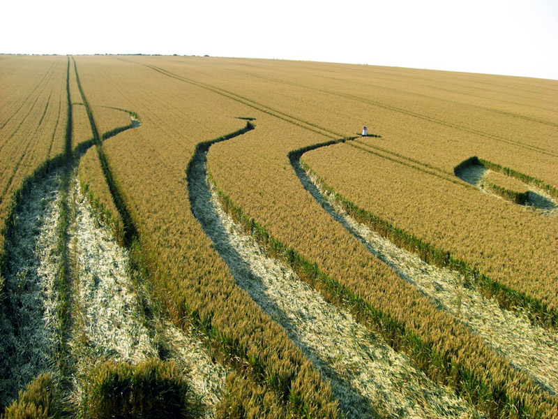 Hill Barn, Wiltshire crop circle, aerial photo 28