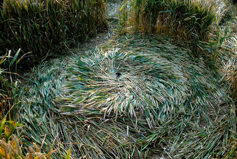 Hill Barn, Wiltshire crop circle, aerial photo 35