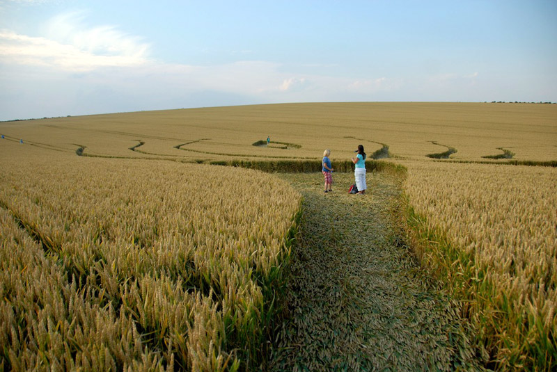 Hill Barn, Wiltshire crop circle, aerial photo 33