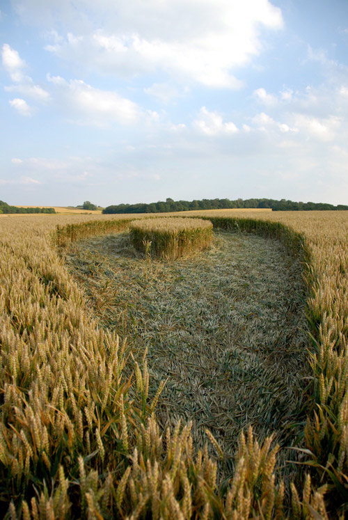 Hill Barn, Wiltshire crop circle, aerial photo 34