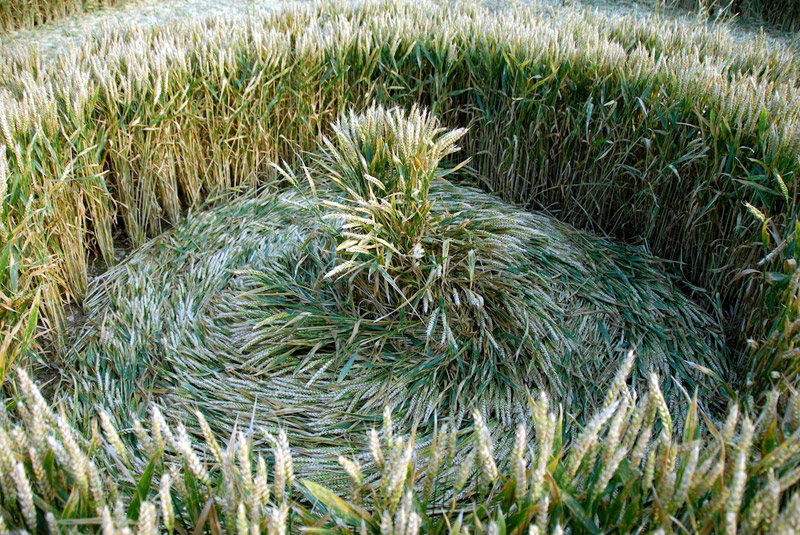 Hill Barn, Wiltshire crop circle, aerial photo 36