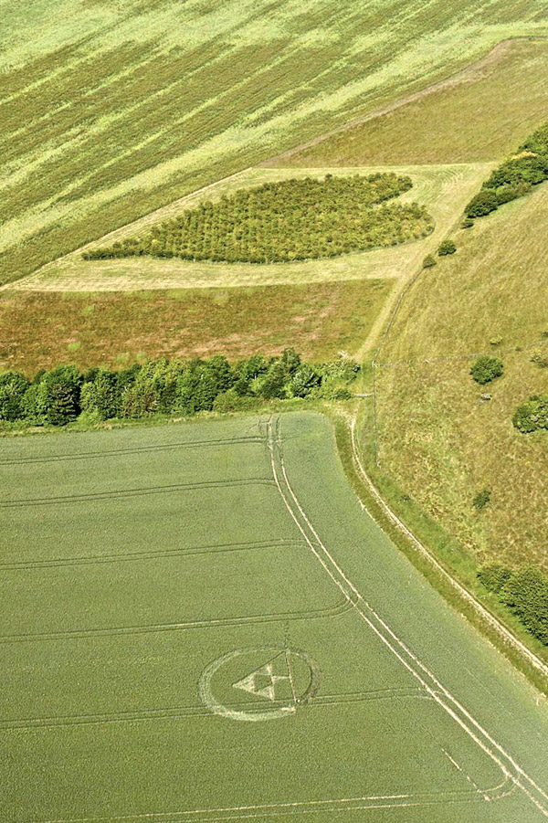 Huish Hill, Wiltshire crop circle, aerial photo 7