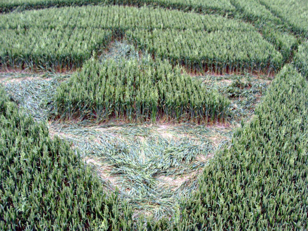 Huish Hill, Wiltshire crop circle, aerial photo 14