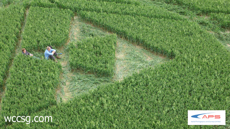 Huish Hill, Wiltshire crop circle, aerial photo 3