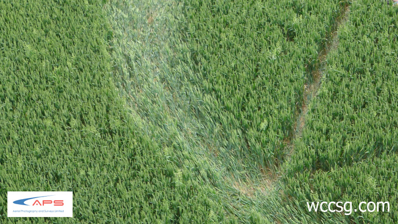 Huish Hill, Wiltshire crop circle, aerial photo 4