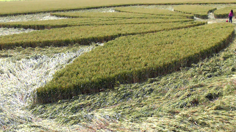 Juggler's Lane, Wiltshire crop circle, aerial photo 37