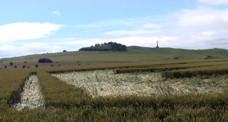 Juggler's Lane, Wiltshire crop circle, aerial photo 40