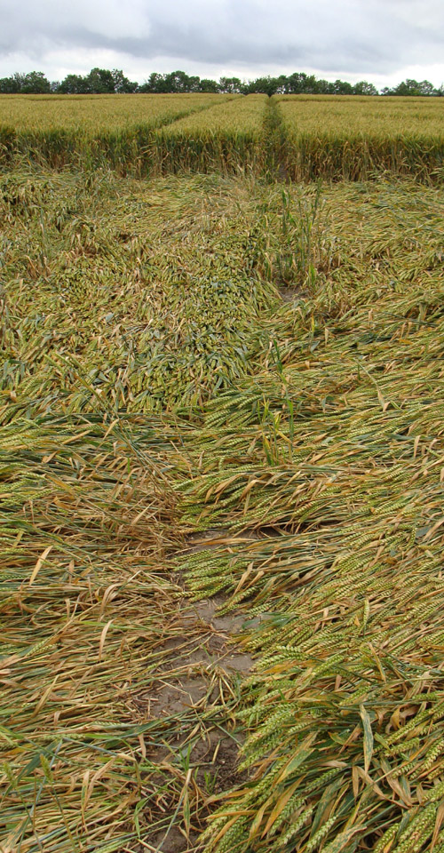Juggler's Lane, Wiltshire crop circle, aerial photo 47
