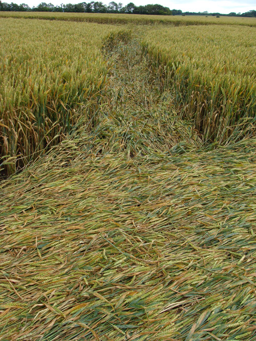 Juggler's Lane, Wiltshire crop circle, aerial photo 48