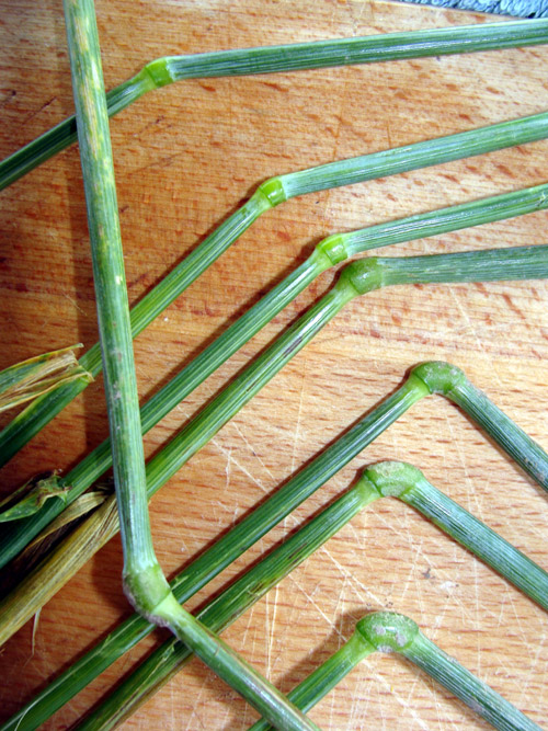 Juggler's Lane, Wiltshire crop circle, aerial photo 46