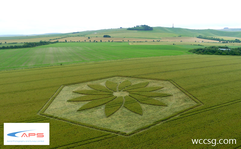 Juggler's Lane, Wiltshire crop circle, aerial photo 10