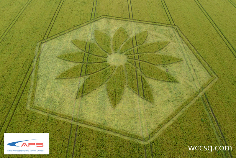 Juggler's Lane, Wiltshire crop circle, aerial photo 11