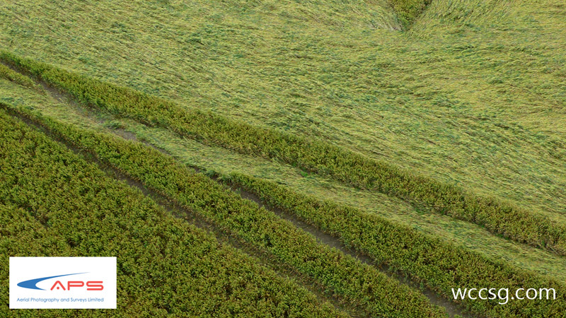 Juggler's Lane, Wiltshire crop circle, aerial photo 14