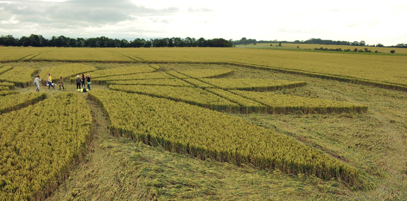 Juggler's Lane, Wiltshire crop circle, aerial photo 34