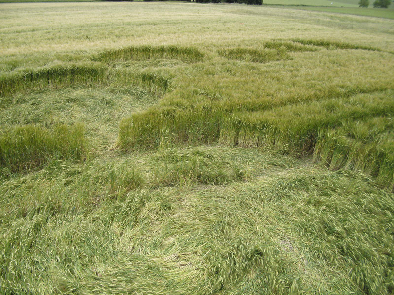 Knoll Down, Wiltshire crop circle, aerial photo 18
