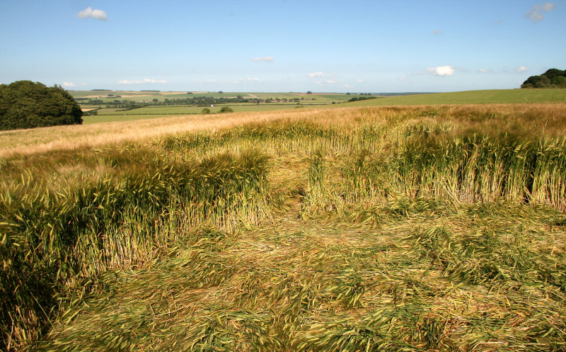 Knoll Down, Wiltshire crop circle, aerial photo 27