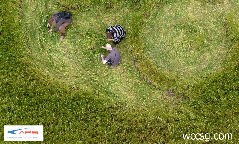 Knoll Down, Wiltshire crop circle, aerial photo 4