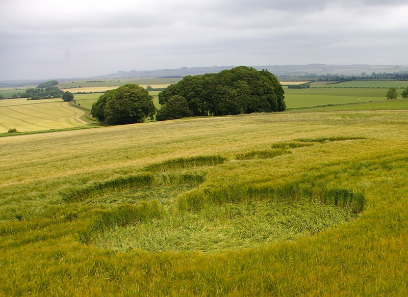 Knoll Down, Wiltshire crop circle, aerial photo 8