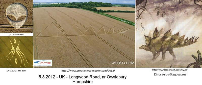 Longwood Road, Hampshire crop circle, aerial photo 16